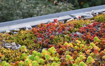 the cost of Radfall green roof installation