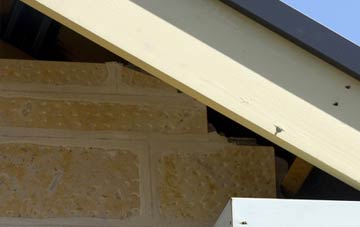 soffit repair Radfall